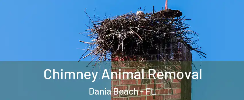  Chimney Animal Removal Dania Beach - FL