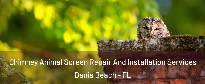  Chimney Animal Screen Repair And Installation Services Dania Beach - FL