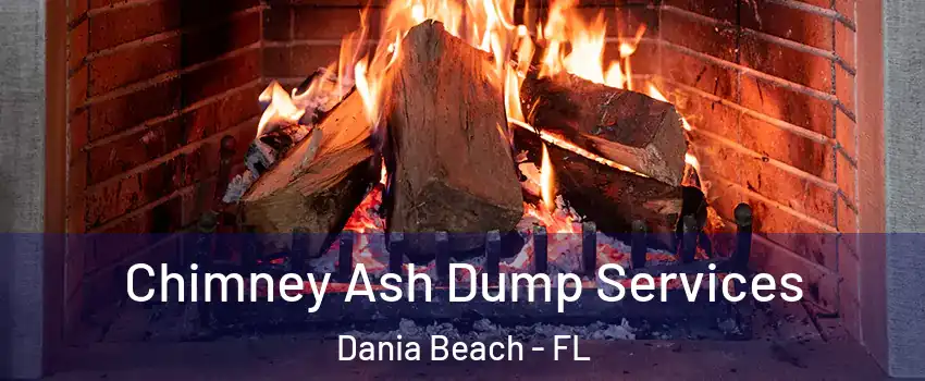  Chimney Ash Dump Services Dania Beach - FL