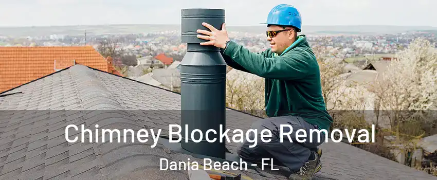  Chimney Blockage Removal Dania Beach - FL