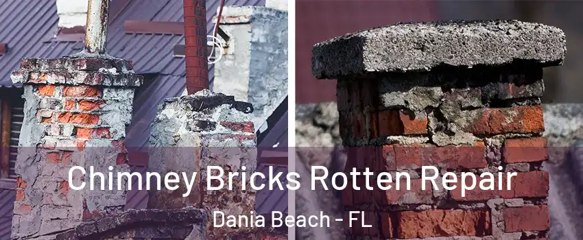  Chimney Bricks Rotten Repair Dania Beach - FL