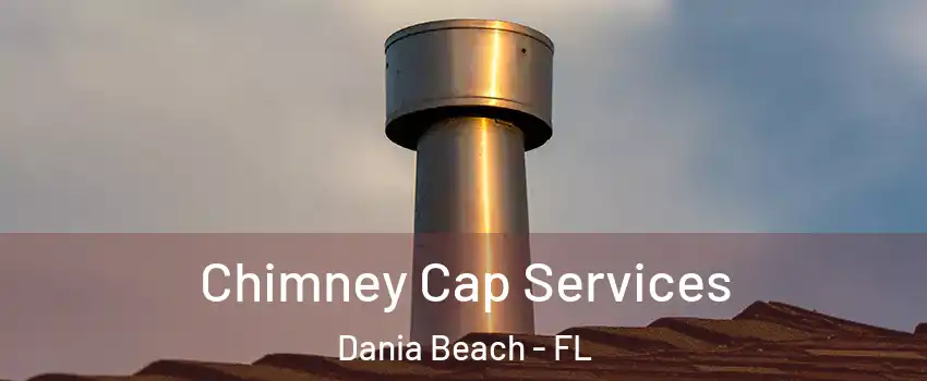  Chimney Cap Services Dania Beach - FL
