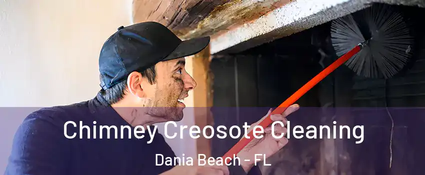  Chimney Creosote Cleaning Dania Beach - FL