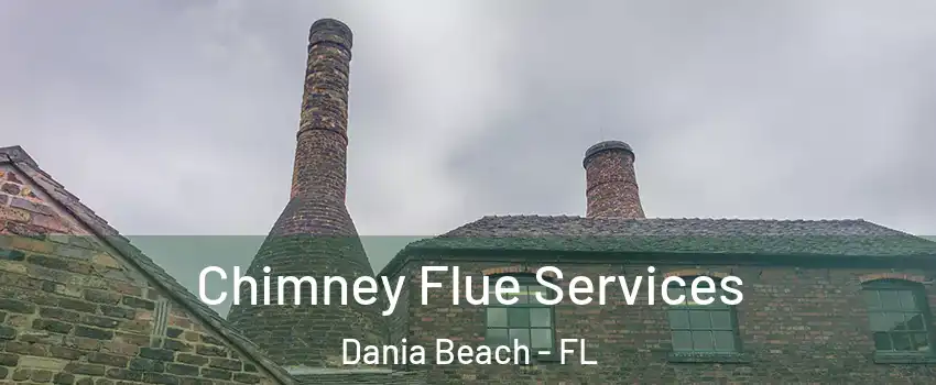  Chimney Flue Services Dania Beach - FL