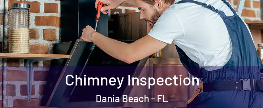  Chimney Inspection Dania Beach - FL