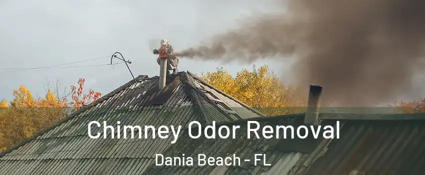  Chimney Odor Removal Dania Beach - FL