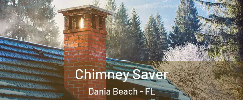  Chimney Saver Dania Beach - FL