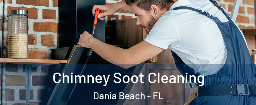  Chimney Soot Cleaning Dania Beach - FL