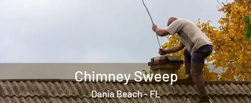  Chimney Sweep Dania Beach - FL