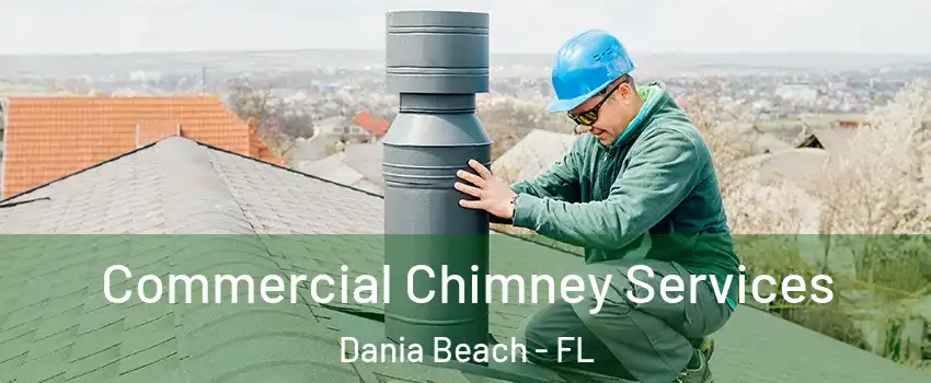  Commercial Chimney Services Dania Beach - FL