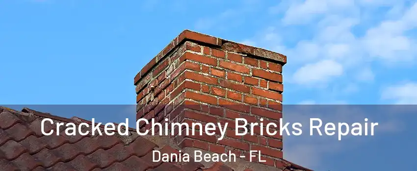  Cracked Chimney Bricks Repair Dania Beach - FL