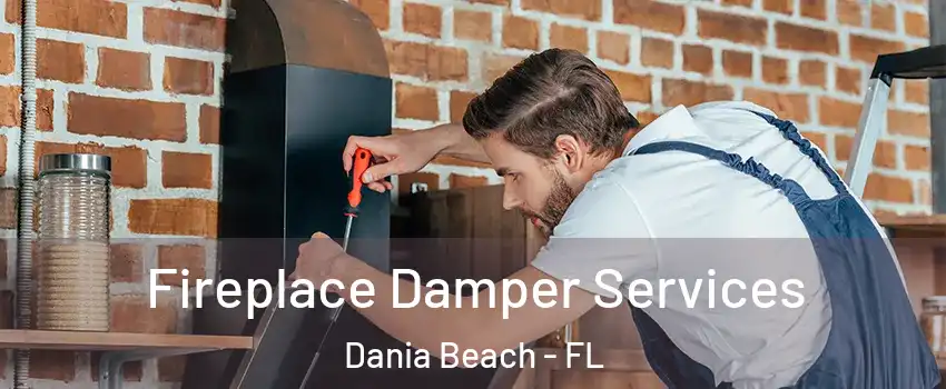  Fireplace Damper Services Dania Beach - FL