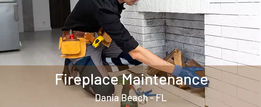  Fireplace Maintenance Dania Beach - FL