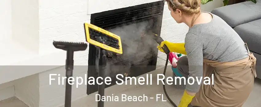  Fireplace Smell Removal Dania Beach - FL