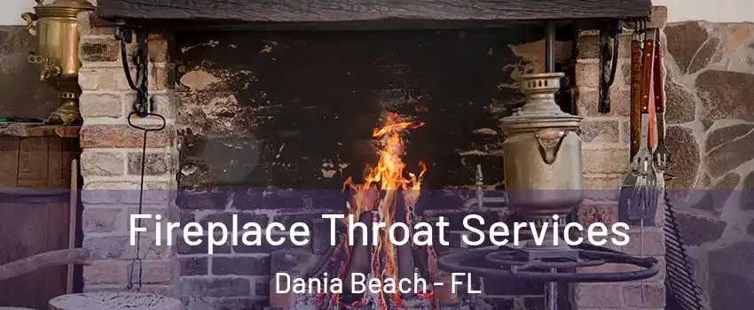  Fireplace Throat Services Dania Beach - FL