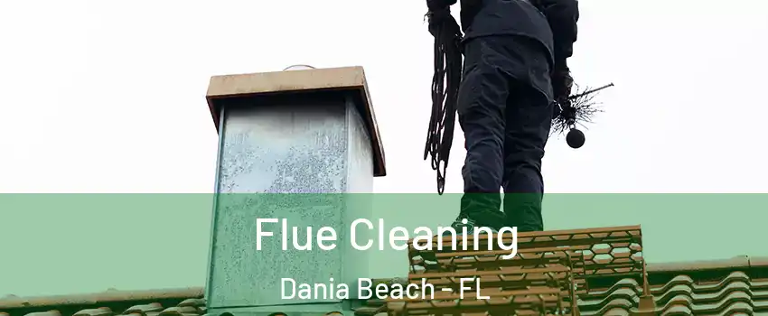  Flue Cleaning Dania Beach - FL
