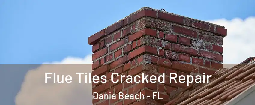  Flue Tiles Cracked Repair Dania Beach - FL