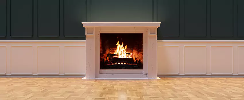 Napoleon Electric Fireplaces Inspection Service in Dania Beach, Florida