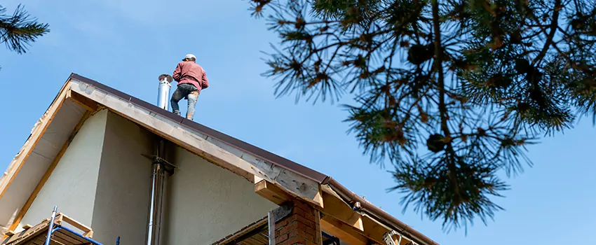 Birds Removal Contractors from Chimney in Dania Beach, FL