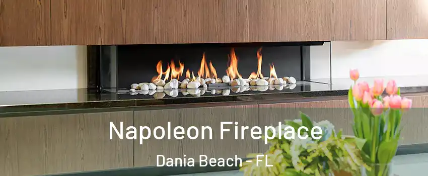  Napoleon Fireplace Dania Beach - FL